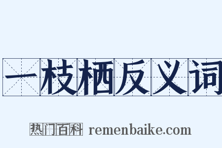 一枝栖反义词是什么意思的图片